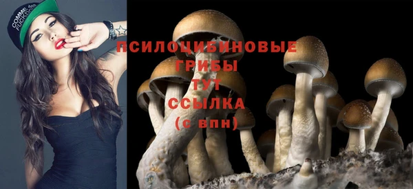 кристаллы Богородицк