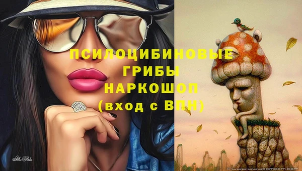 соль курить ск Богданович