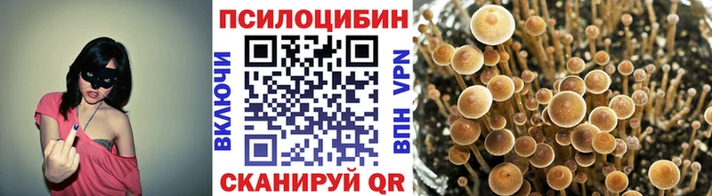 Галлюциногенные грибы Psilocybe Уфа